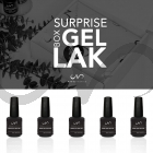 Gellak Surprisebox - 5 stuks