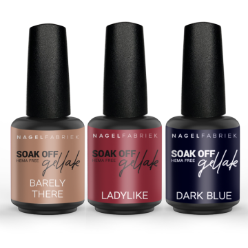 Timeless Elegance Collection