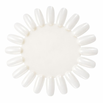 Colorwheel Naturel 5x