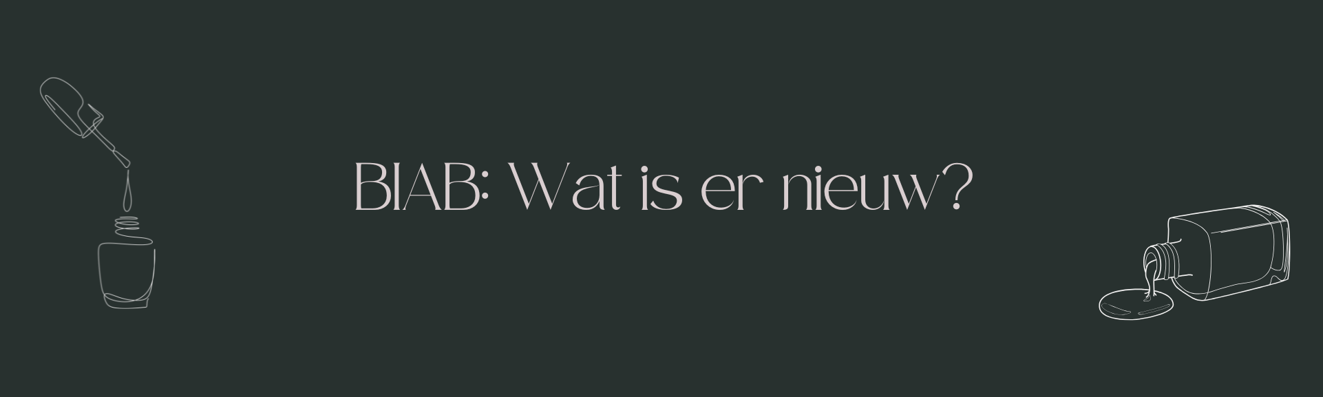 BIAB: Wat is er nieuw?