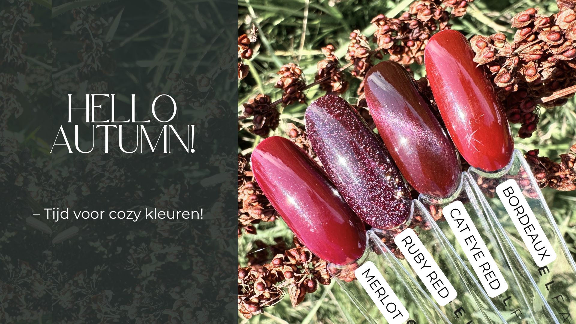 Zomerse gellak in de kleuren roze, groen, blauw, geel en oranje Zomerse gellak kleuren: veilig, trendy en langhoudend